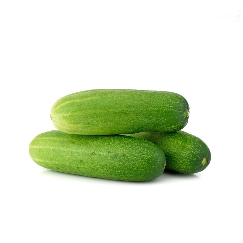 

TIMUN (cucumber) 500gr SEGAR