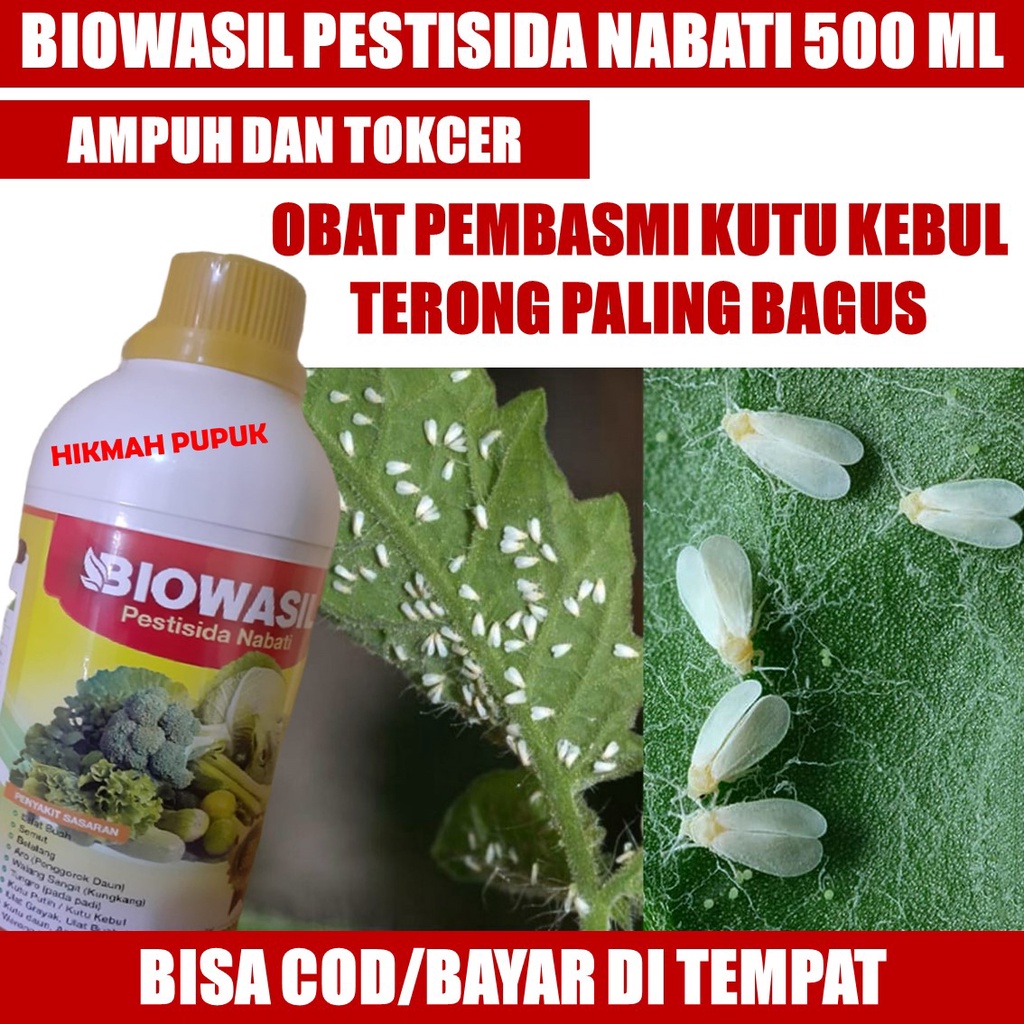 BIOWASIL PALING LARIS OBAT PEMBASMI KUTU KEBUL TERONG, CABAI, MELON, JERUK PALING AMPUH, Pestisida U