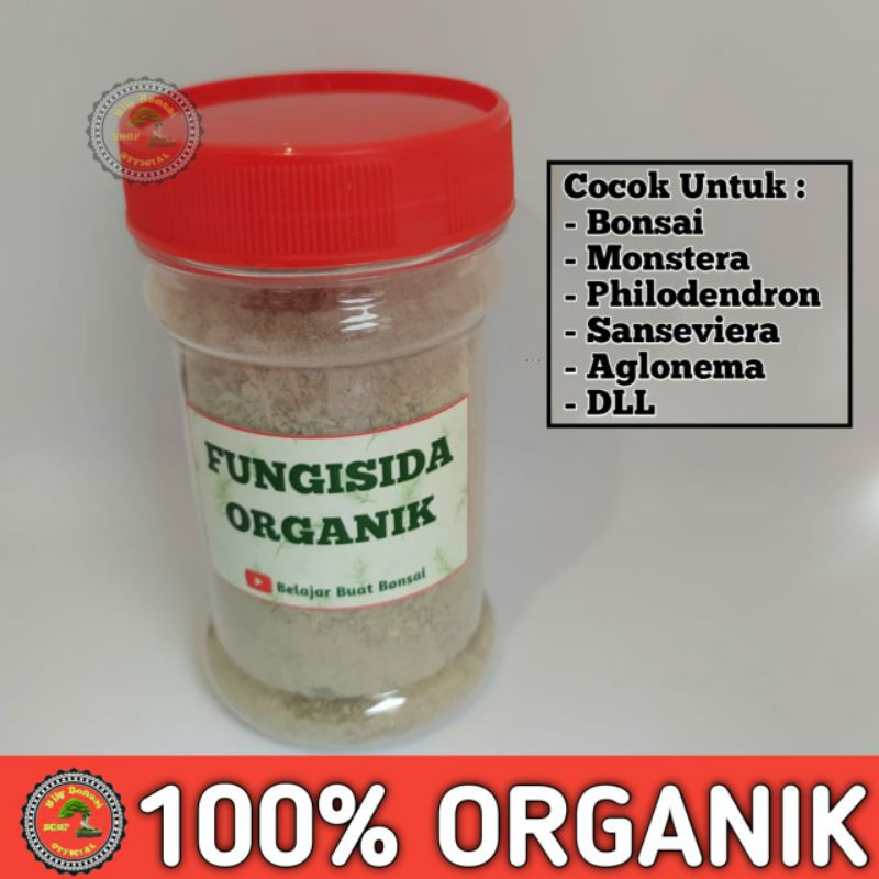 FUNGISIDA ORGANIK UNTUK BONSAI DAN TANAMAN HIAS