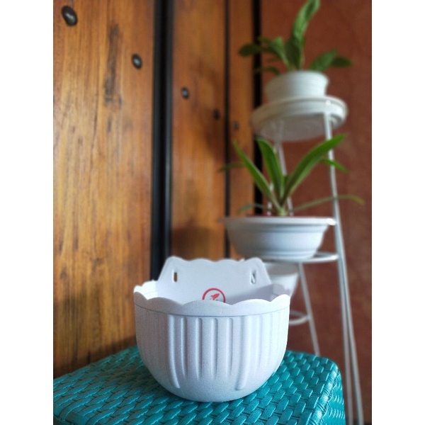 pot bunga tempel
