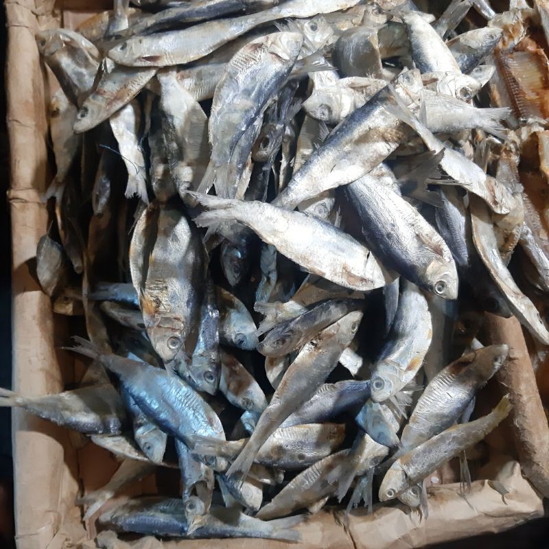 

Ikan Asin Tembang 1/4kg (250g)