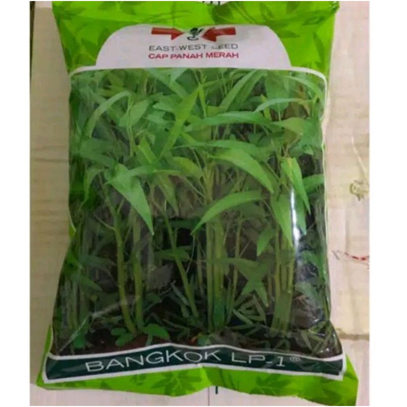 Benih Kangkung Bangkok LP 1 kg