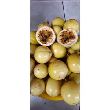 

BUAH MARKISA KUNING/MERAH SEGAR 1KG