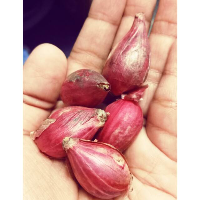 

Bawang merah