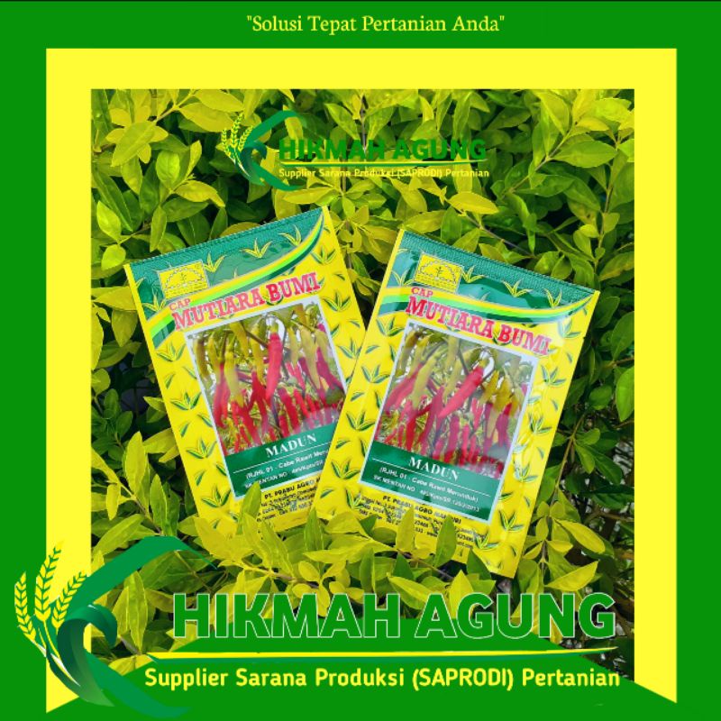 

Cabai Rawit Putih Merunduk Madun Mutiara Bumi @ 10 Gram
