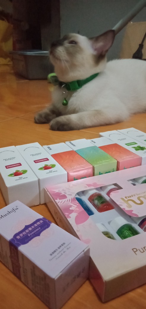 Aromatherapy Essential Oilhumidifier Minyak Esensial Difuser 6pcs 5 Ml/12 Pcs 3ml Mixing