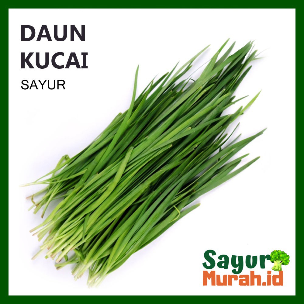 

DAUN KUCAI SEGAR - SAYUR [1 Ikat]