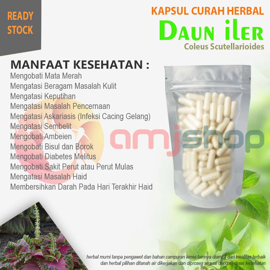 

KAPSUL CURAH HERBAL DAUN ILER Mata Merah Sembelit Radang Telinga