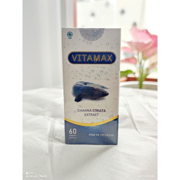 

Ekstrak Ikan Gabus Obat Luka Caesar Operasi Bengkak Pencernaan Vitamax