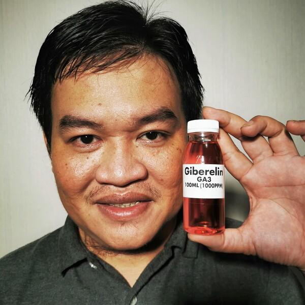 Hormon Tanaman Giberelin GA3 100ml Pembungaan dan Pembuahan