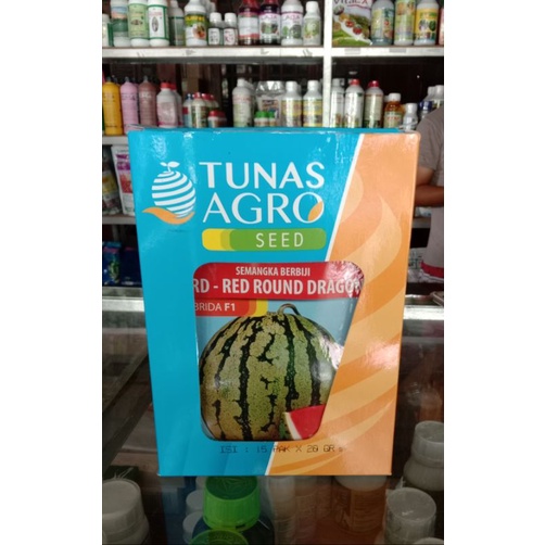 BENIH SEMANGKA MERAH BERBIJI RRD ( RED ROUND DRAGON) /DRAGON BALL HIBRIDA F1 20gr