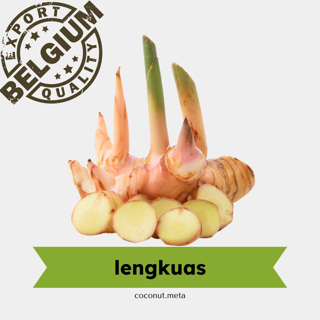 

Lengkuas Super Segar 250gr by Coconut Meta