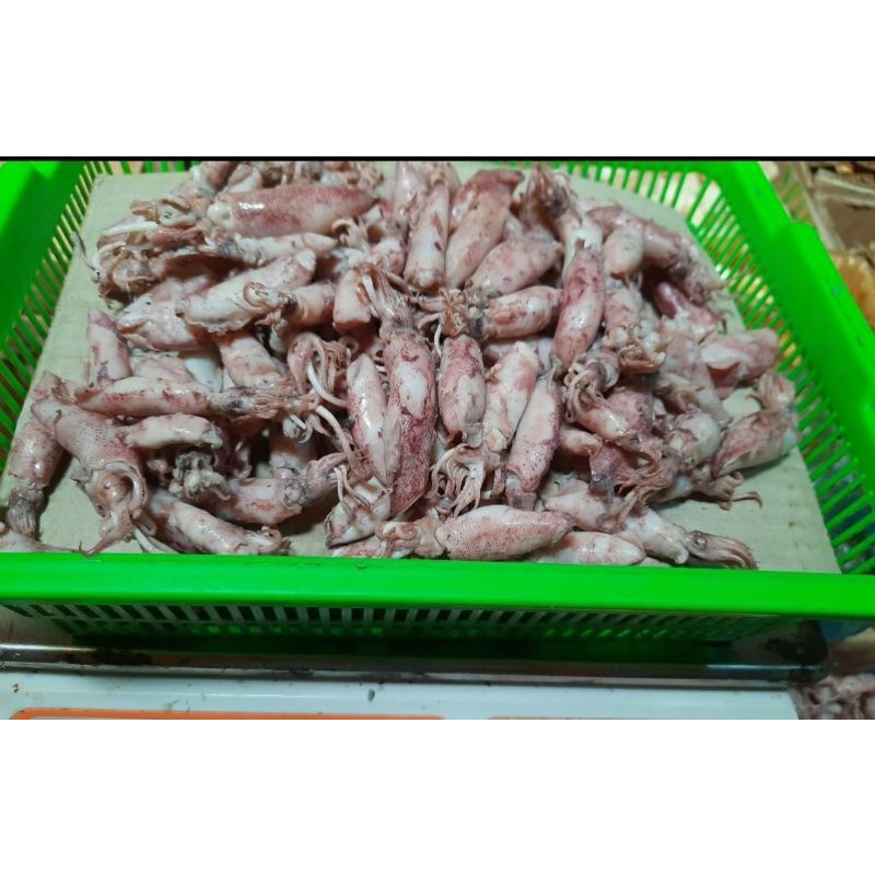 

ikan asin beby cumi, cumi sotong, cumi rebus 100gr