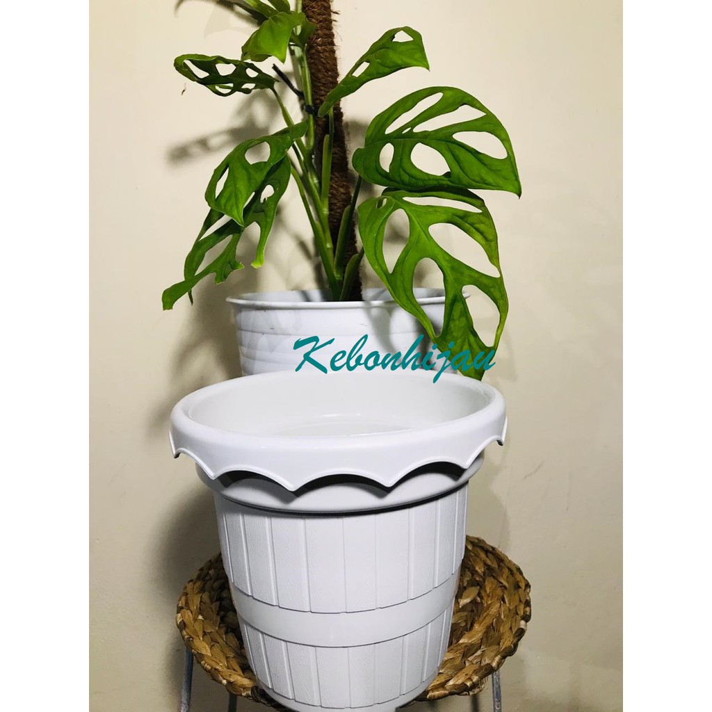 Pot Bunga Nursery / Pot Bunga Nursery Taiwan / Grosir Pot / Pot Murah / PBR 003