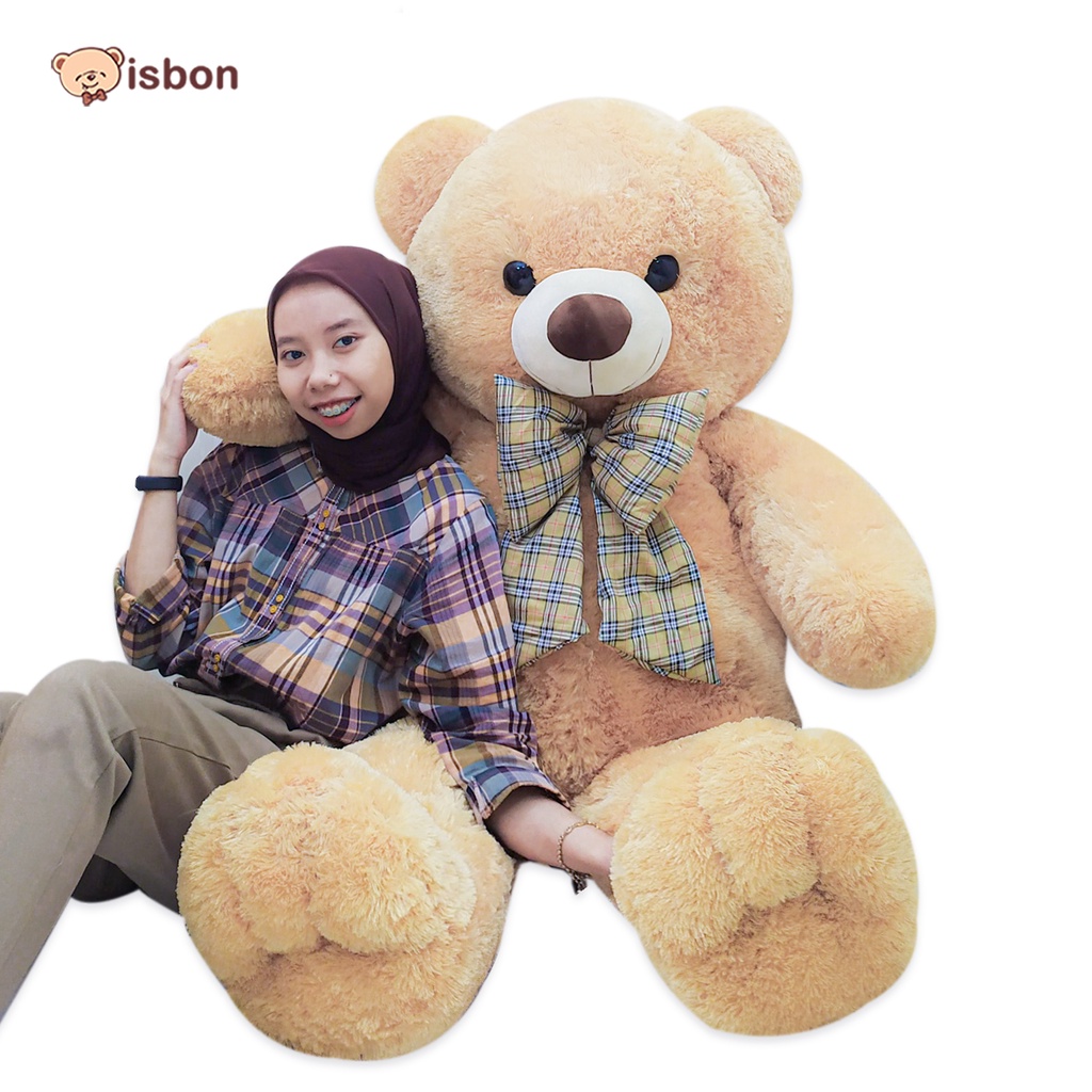 Boneka Beruang Jumbo teddy bear Besar Istana Boneka Cippi Bear With Syall jojon