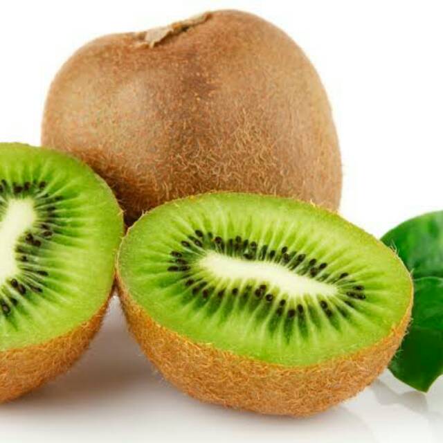 BIBIT BUAH KIWI thailand unggul bibit kiwi