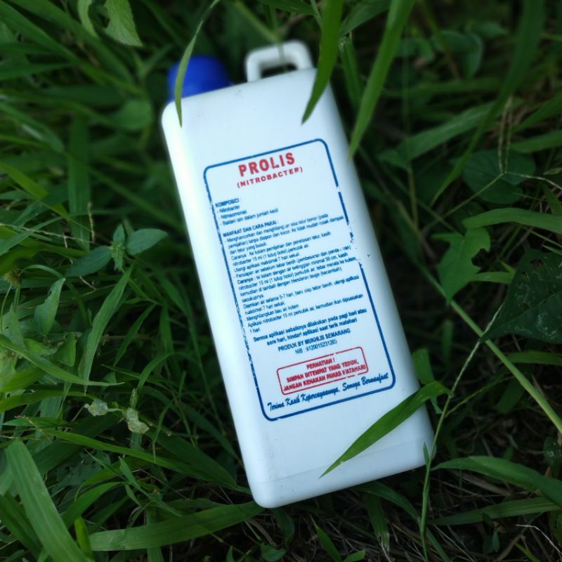 Probiotik Nitrobacter Nitrobac Premium