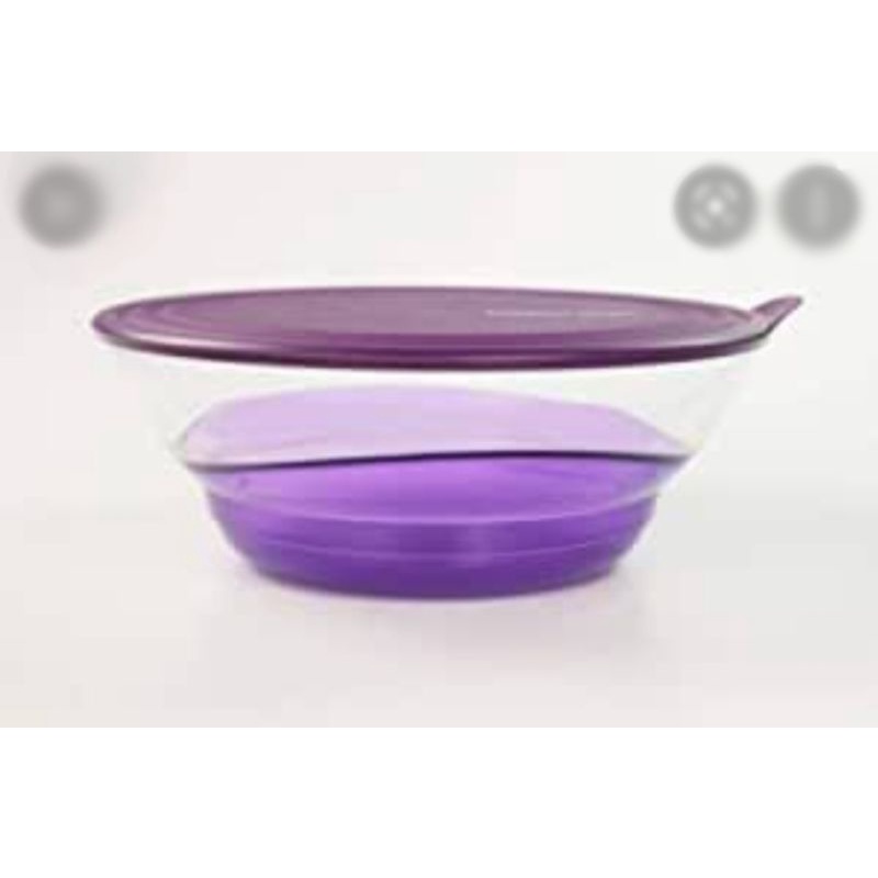 Eleganzia Bowl Ungu 3,2 Liter / Mangkok Cantik Unik Limited Blink