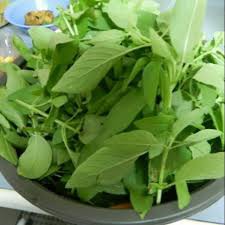 

DAUN KEMANGI SAYUR [1 Ikat, ±30g}