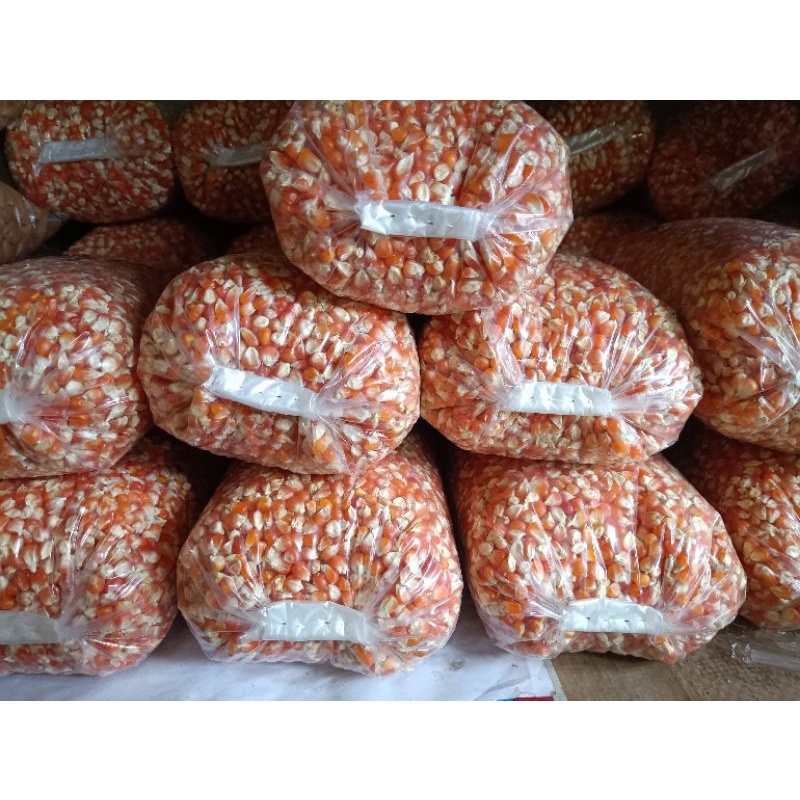 

jagung 1 kg