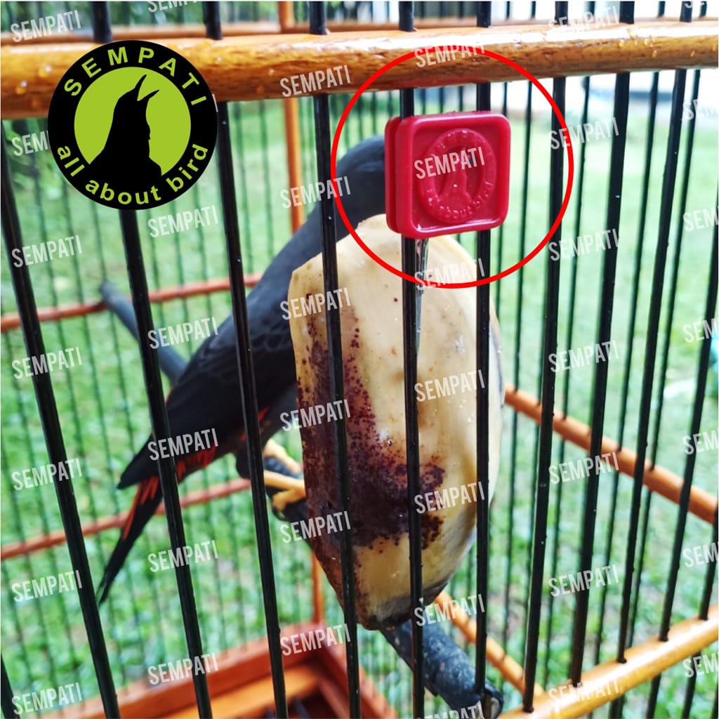 GANTUNGAN BUAH SANGKAR BURUNG SEMPATI CANTOLAN PENGAIT SAYUR PAKAN BURUNG LOVEBIRD KENARI PLECI DLL