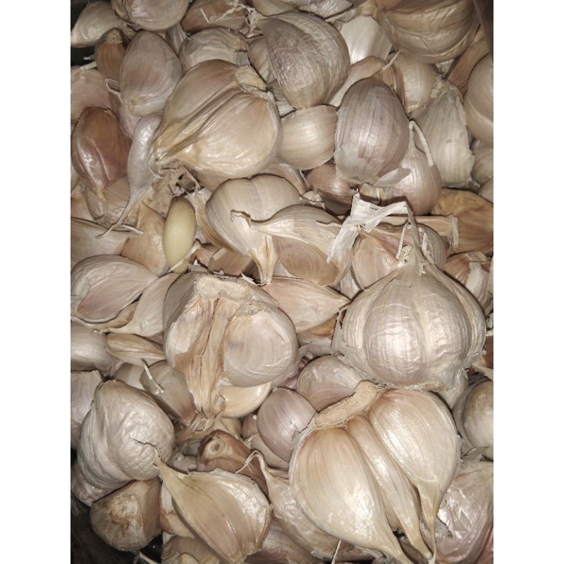 

Bawang putih (harga 1kg)