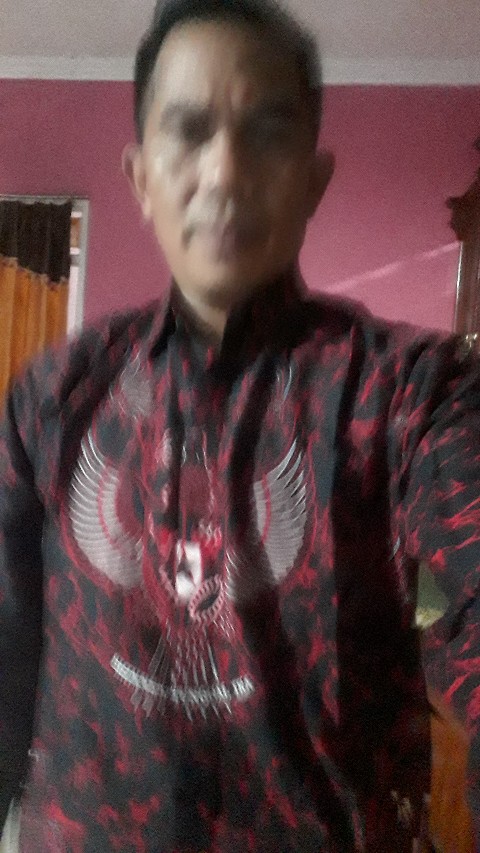 Atasan Kemeja Batik Pria Motif Batik Garuda // (solo) Jumbo