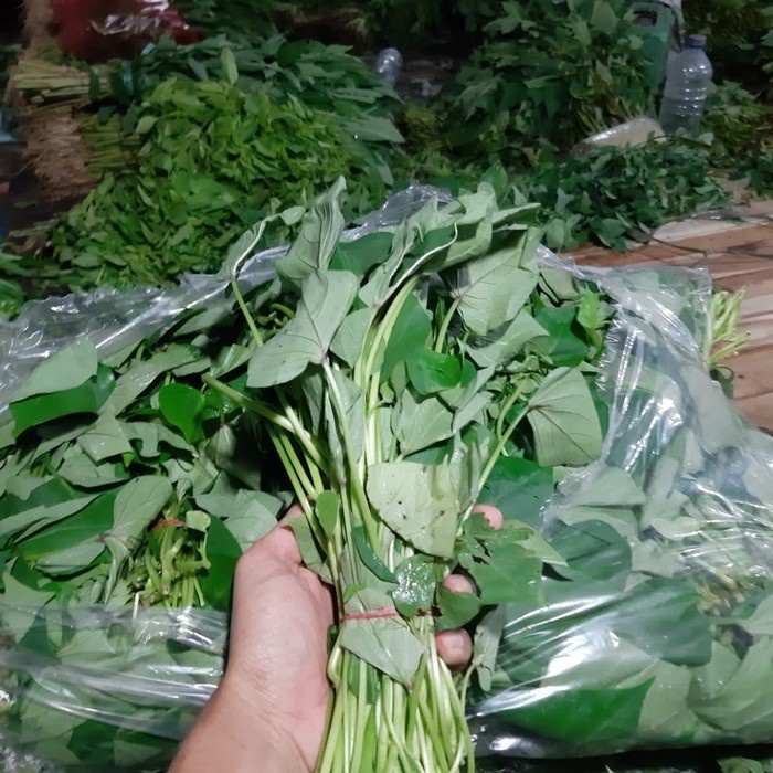 

Sayur Daun Ubi Jalar/Daun Ketela Rambat 1 ikat