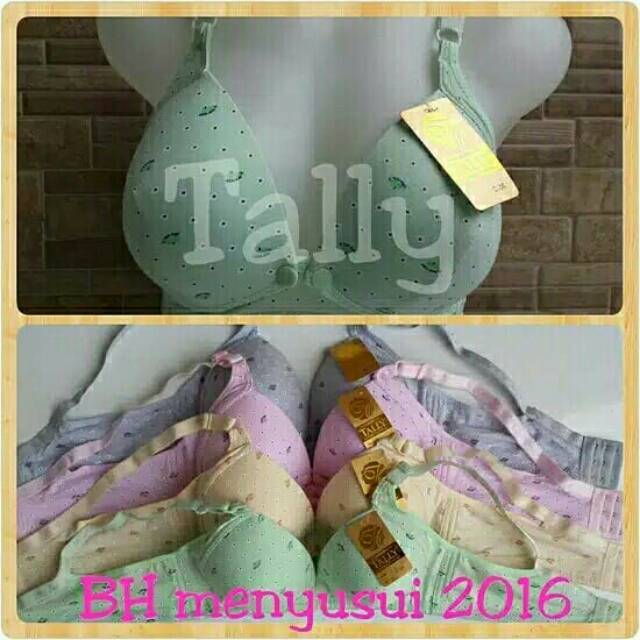 BRA MENYUSUI TALLY