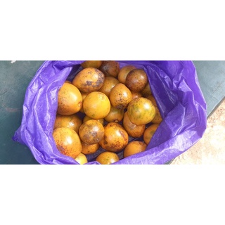 Jual Buah Campoleh Atau Campolay Atau Ini Buah Alkesah Matang Per 1 Kg ...