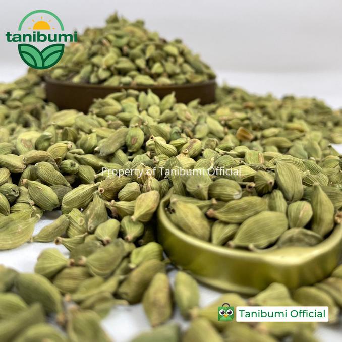 

PROMO Kapulaga Hijau | 50g / 100g | Whole Green Cardamom | Import Premium MURAH