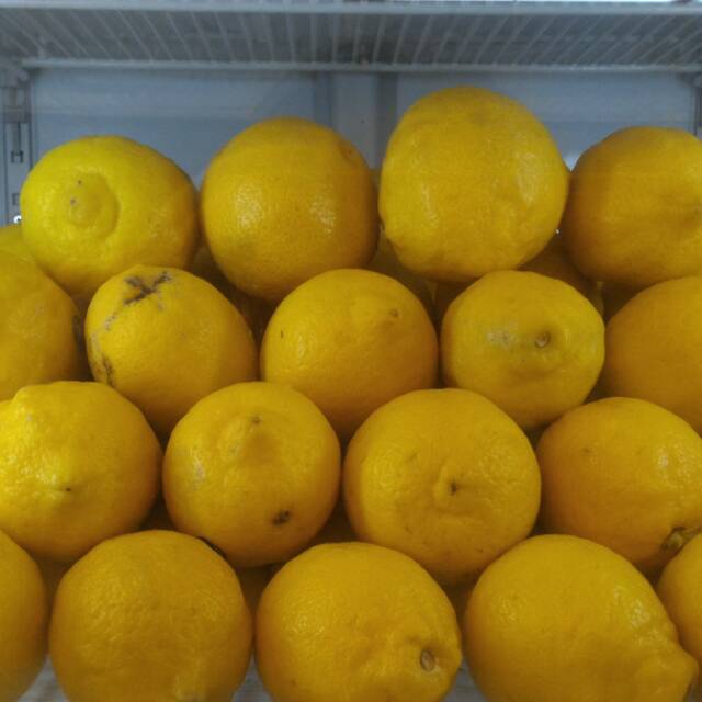 

Buah Lemon Import per kg