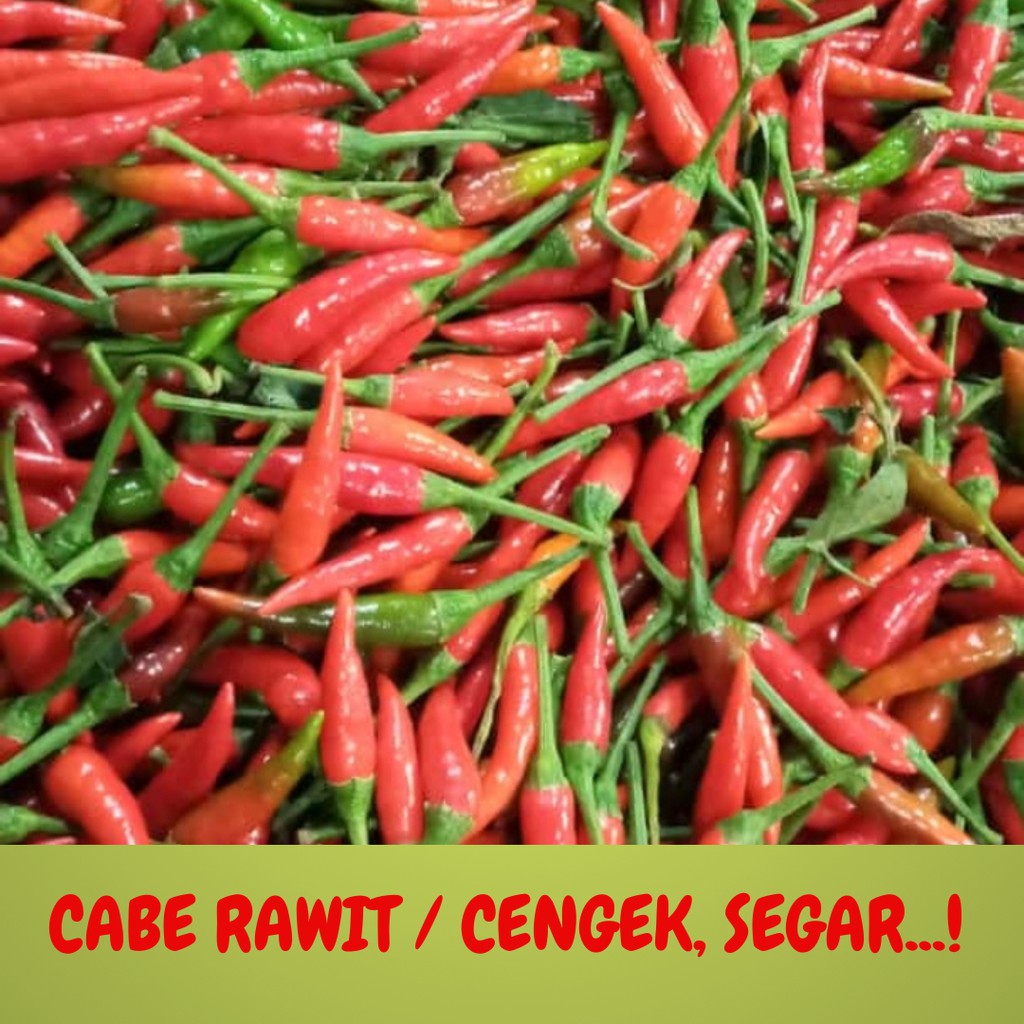 

CABAI / CABE RAWIT (CENGEK) SEGAR DAN PEDAS BANGET...!! 500 GRAM, 1 KILOGRAM