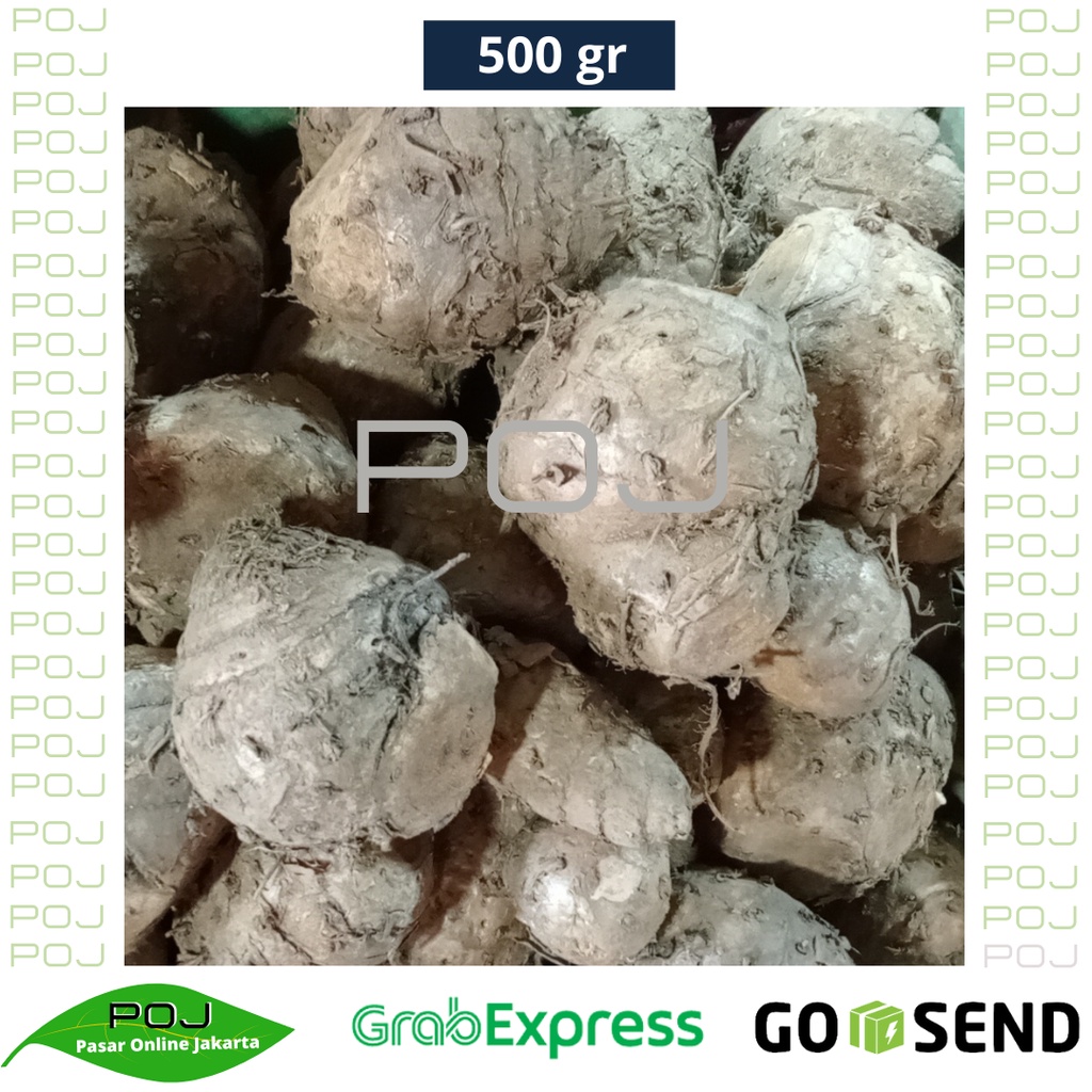 

Induk Kunyit 500 gr | Empu Kunyit✓Biang Kunyit✓Induk Kunyit Segar✓Induk Kunyit Fresh✓POJ