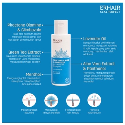 ERHA SCALPERFECT SHAMPOO ANTI DANDRUFF / shampoo Anti ketombe