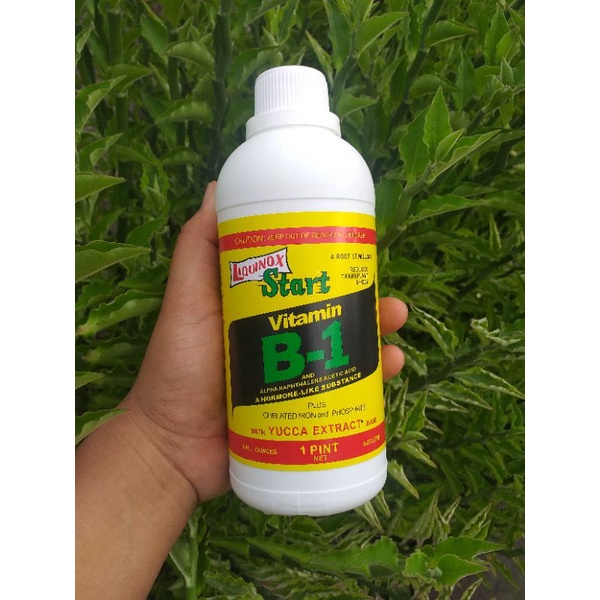 Vitamin B1 Tanaman 470ml