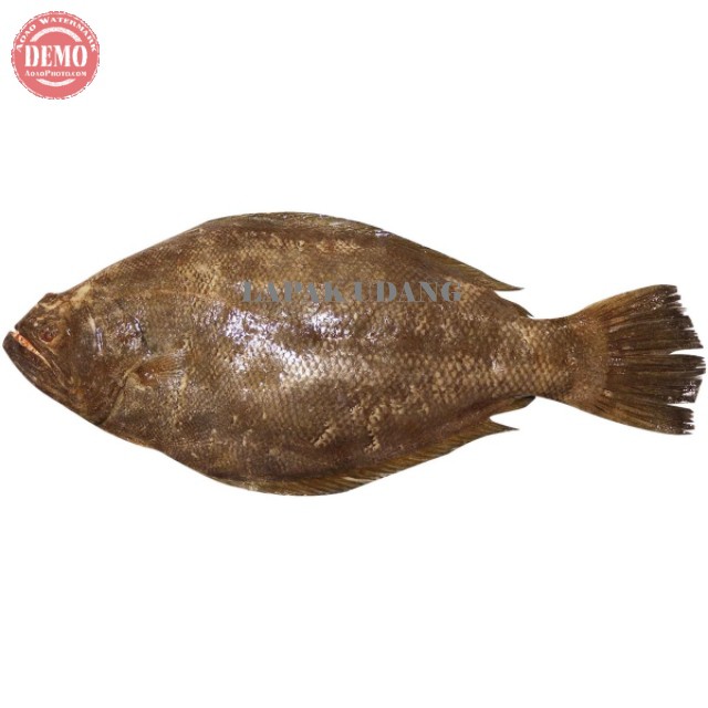 

Ikan Sebelah Segar Jantan Ikan Fresh Laut Kualitas GARANSI SEGAR