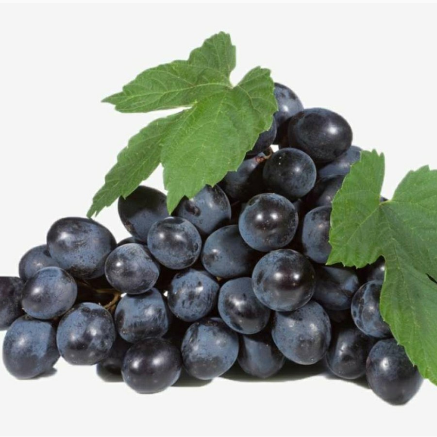 

buah premium anggur midnight beauty australia, manis tanpa biji