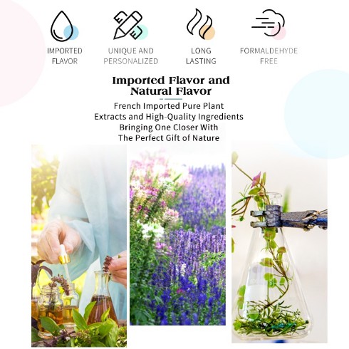 Premiere Beaute Aromatic Rattan Reed Diffuser oil Aromatherapy Replenisher Pewangi Pengharum Ruangan