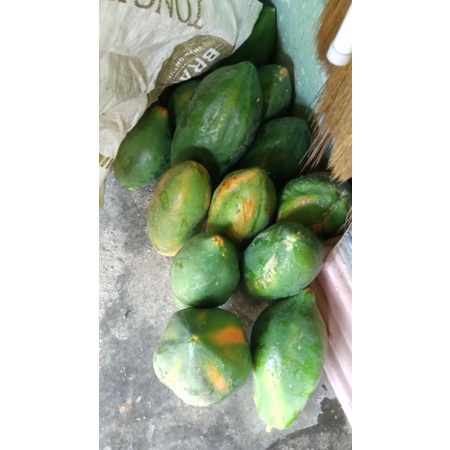 

pepaya