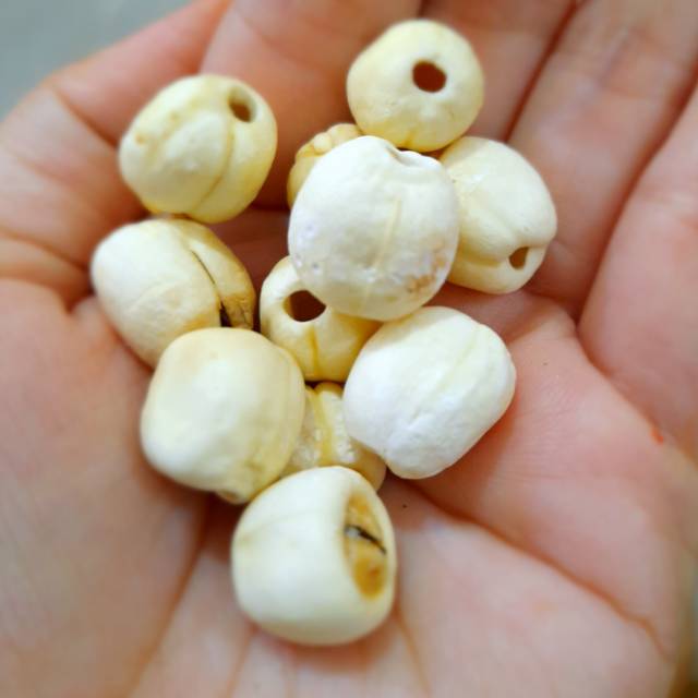 

Biji teratai / lotus seed / lian zi / lian ci 10gr