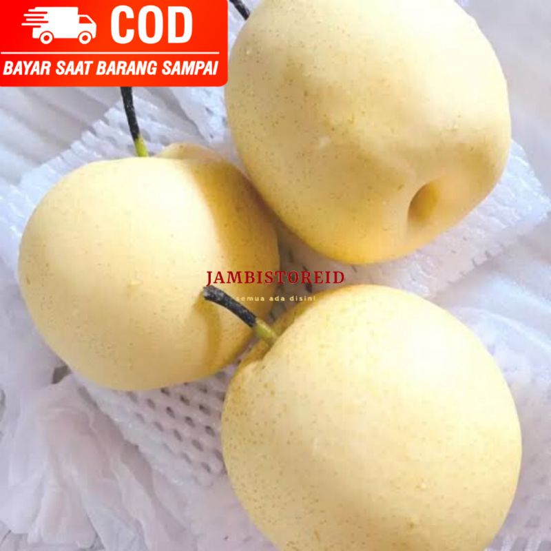 

(JAMBISTOREID) Buah Pir Pear Century 1 kg Fresh Segar 1000 gram Madu Mulus Jambi Fresh Langsung Kirim