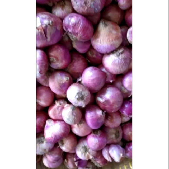 

Bawang Merah 1 kg