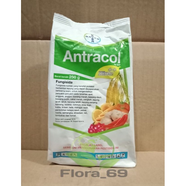 Fungisida Bayer ANTRACOL 70WP Berat 250gr pengendali tanaman anggrek bibit aglonema bonsai