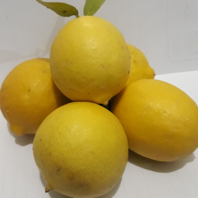 

jeruk lemon lokal 1 kg