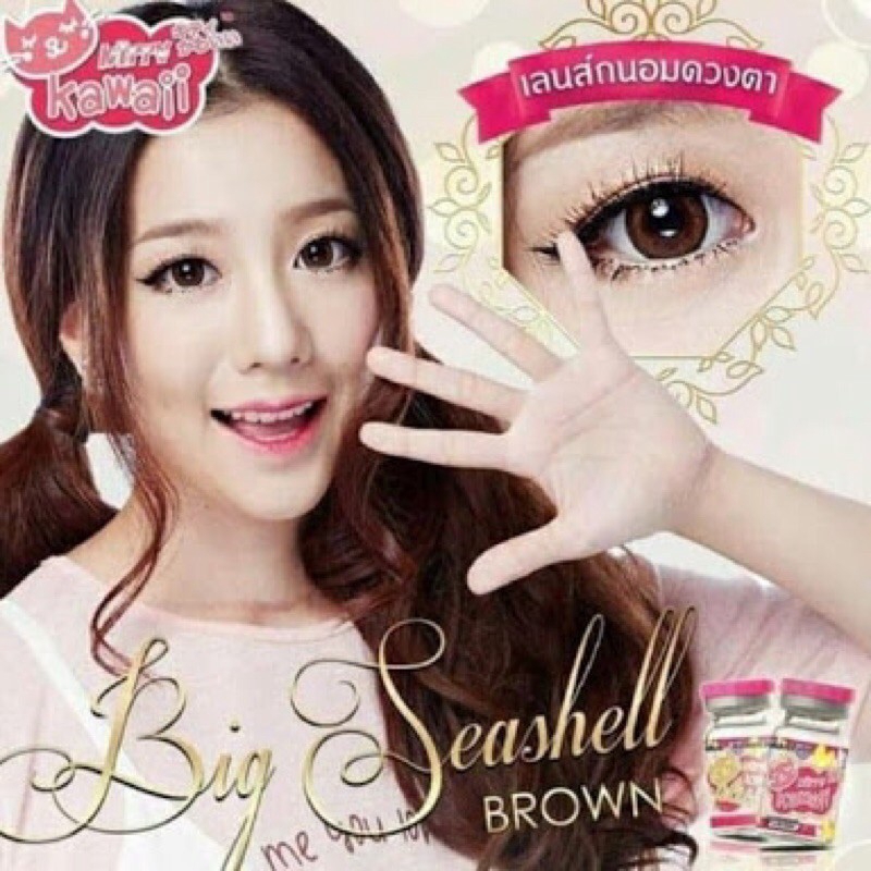 SOFTLEN KITTY KAWAII BIG SEASHELL BROWN DAN GREY - NORMAL