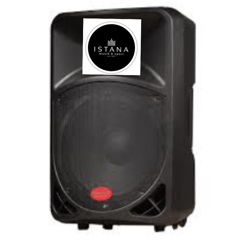 Portable speaker baretone 15 inchi