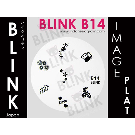 BLINK Image Plate B10 - B22