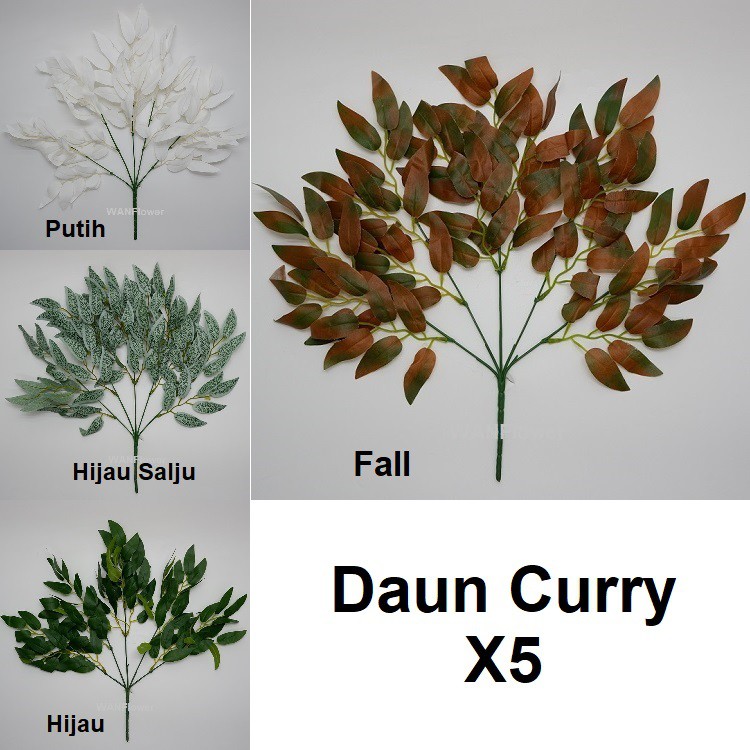 WANFlower Daun Curry X5 * PUTIH