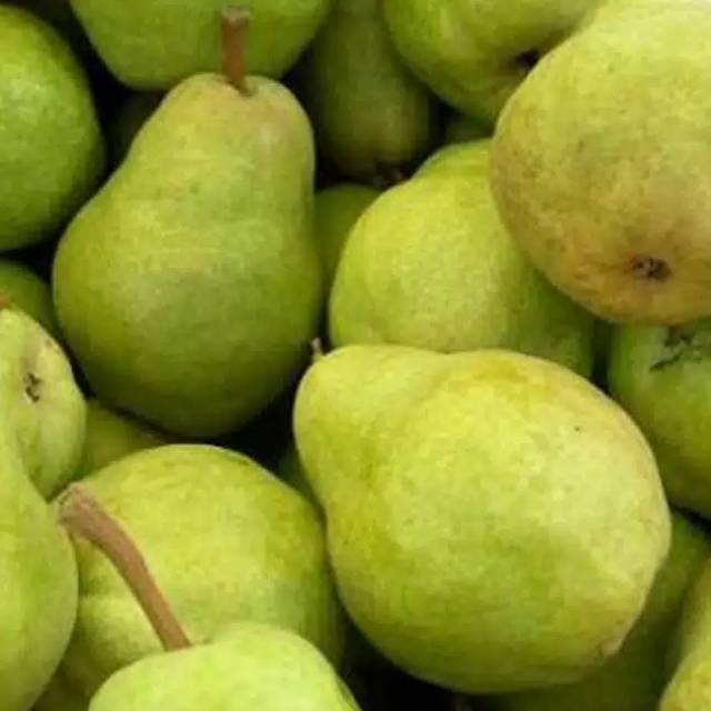 

PIR PAKAM KEMASAN PER KG